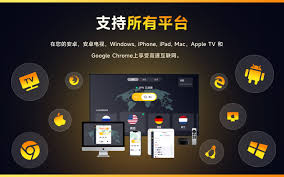开发者的最佳伴侣：闪连VPN在Linux系统上的完整安装与使用指南